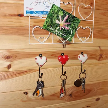 Lovely Spacious Lägenhet *